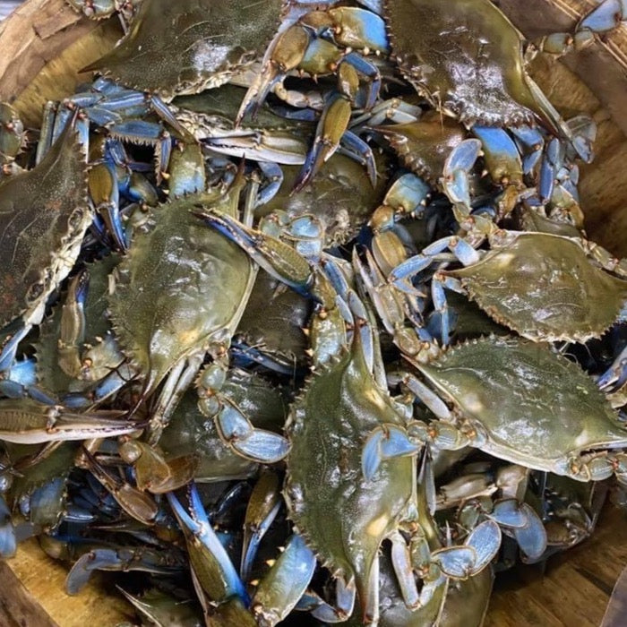 Hard Shell Blue Crabs